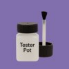 RAL 300 50 35 Paint Tester Pot