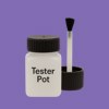RAL 300 50 40 Paint Tester Pot