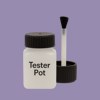 RAL 300 60 20 Paint Tester Pot