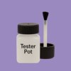 RAL 300 60 30 Paint Tester Pot