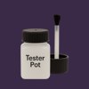 RAL 310 20 20 Paint Tester Pot