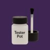 RAL 310 20 30 Paint Tester Pot