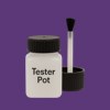 RAL 310 30 40 Paint Tester Pot