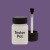 RAL 310 40 25 Paint Tester Pot
