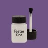 RAL 310 40 30 Paint Tester Pot