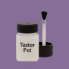 RAL 310 50 25 Paint Tester Pot