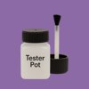 RAL 310 50 35 Paint Tester Pot