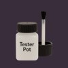 RAL 320 20 10 Paint Tester Pot
