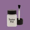 RAL 320 50 25 Paint Tester Pot