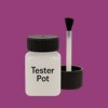 RAL 340 40 45 Paint Tester Pot