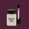 RAL 350 20 25 Paint Tester Pot