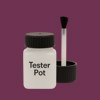 RAL 350 30 30 Paint Tester Pot