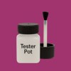 RAL 350 40 50 Paint Tester Pot