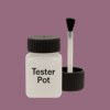 RAL 350 50 20 Paint Tester Pot