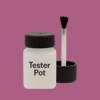 RAL 350 50 35 Paint Tester Pot