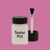 RAL 350 60 40 Paint Tester Pot