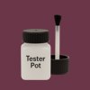 RAL 360 30 25 Paint Tester Pot