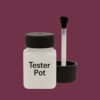 RAL 360 30 30 Paint Tester Pot