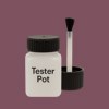 RAL 360 40 20 Paint Tester Pot