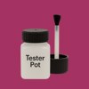 RAL 360 40 50 Paint Tester Pot