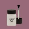 RAL 360 50 20 Paint Tester Pot