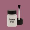 RAL 360 50 25 Paint Tester Pot