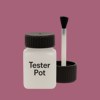 RAL 360 50 30 Paint Tester Pot