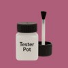 RAL 360 50 35 Paint Tester Pot