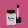 RAL 360 50 50 Paint Tester Pot