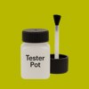 RAL Effect 250-3 - Vert Pomme Paint Tester Pot
