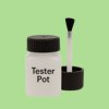 NCS S 0540-G30Y Paint Tester Pot