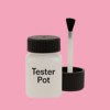 NCS S 0540-R20B Paint Tester Pot