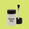 NCS S 0550-G60Y Paint Tester Pot