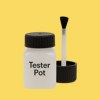 NCS S 0550-Y Paint Tester Pot