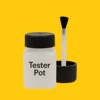 NCS S 0570-Y10R Paint Tester Pot
