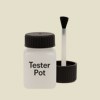 NCS S 1005-Y Paint Tester Pot