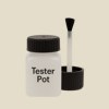 NCS S 1005-Y10R Paint Tester Pot