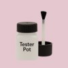 NCS S 1015-R20B Paint Tester Pot