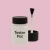 NCS S 1020-R20B Paint Tester Pot