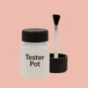 NCS S 1020-Y80R Paint Tester Pot