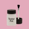 NCS S 1030-R20B Paint Tester Pot