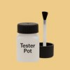 NCS S 1030-Y10R Paint Tester Pot