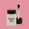 NCS S 1040-R10B Paint Tester Pot