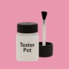 NCS S 1040-R20B Paint Tester Pot