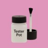 NCS S 1040-R30B Paint Tester Pot
