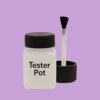 NCS S 1040-R50B Paint Tester Pot