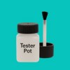 NCS S 1050-B60G Paint Tester Pot