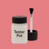 NCS S 1050-R Paint Tester Pot