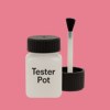 NCS S 1050-R10B Paint Tester Pot