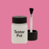NCS S 1050-R20B Paint Tester Pot